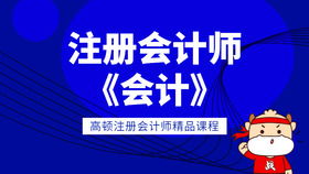 注册会计师实务解析 2020年丁奎山注会会计基础精讲班与垫资注册上海的合规风险